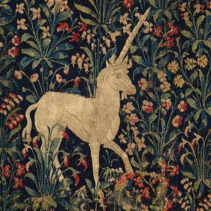 unicorn unicorn